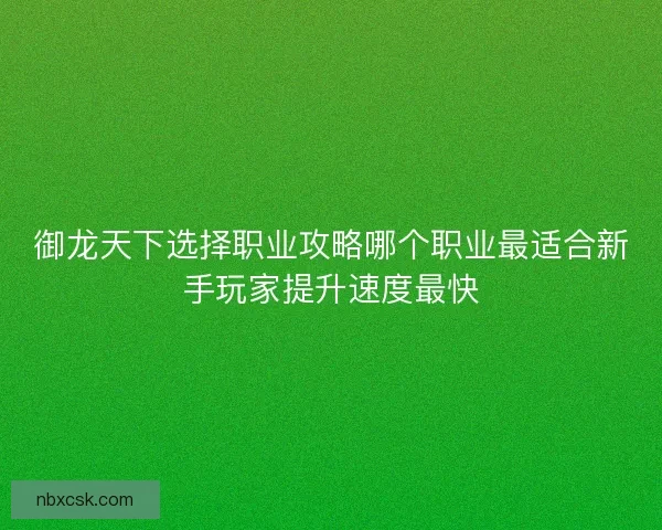 御龙天下选择职业攻略哪个职业最适合新手玩家提升速度最快