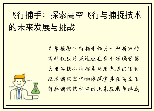 飞行捕手：探索高空飞行与捕捉技术的未来发展与挑战
